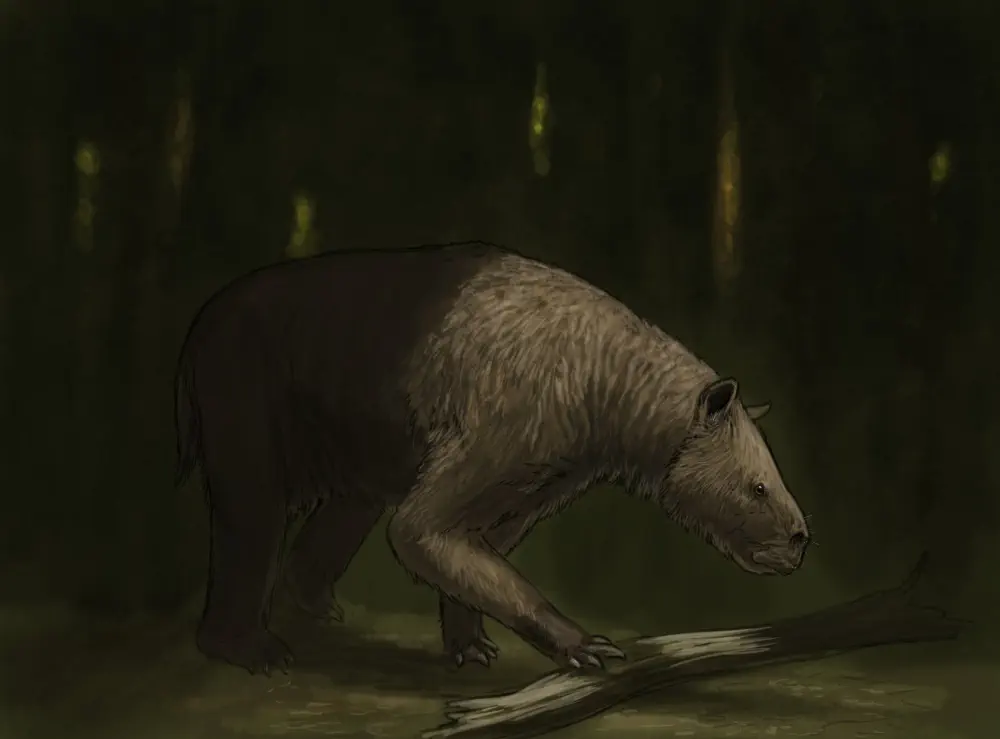 Вимерлий світ | Chasicotherium Вимерлий світ | Chasicotherium