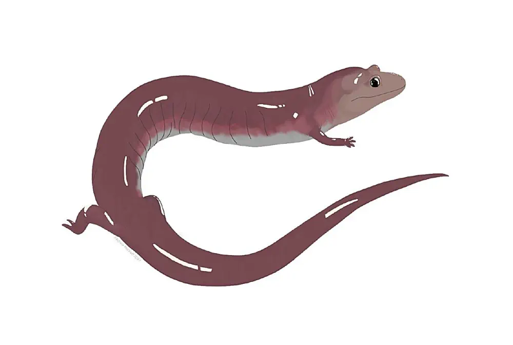 Вимерлий світ | Dynamognathus Вимерлий світ | Dynamognathus