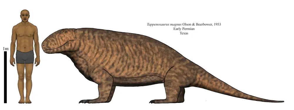 Вимерлий світ | Tappenosaurus Вимерлий світ | Tappenosaurus