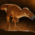Khankhuuluu_mongoliensis-novataxa_2025-Voris_Zelenitsky_Kobayashi__