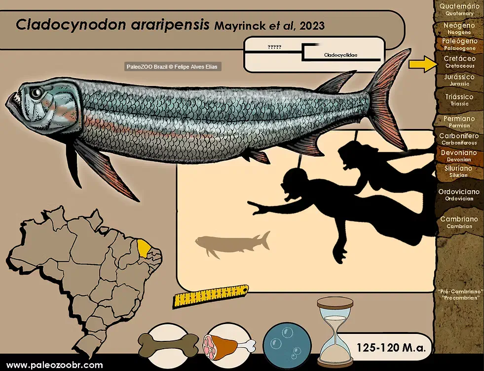 Вимерлий світ | Cladocynodon Вимерлий світ | Cladocynodon
