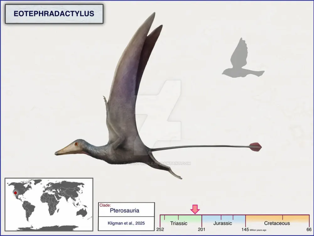 Вимерлий світ | Eotephradactylus Вимерлий світ | Eotephradactylus
