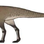 Pulaosaurus_qinglong
