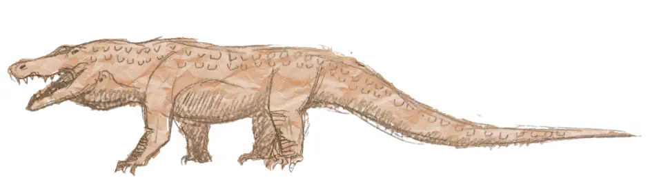 Вимерлий світ | Ibirasuchus