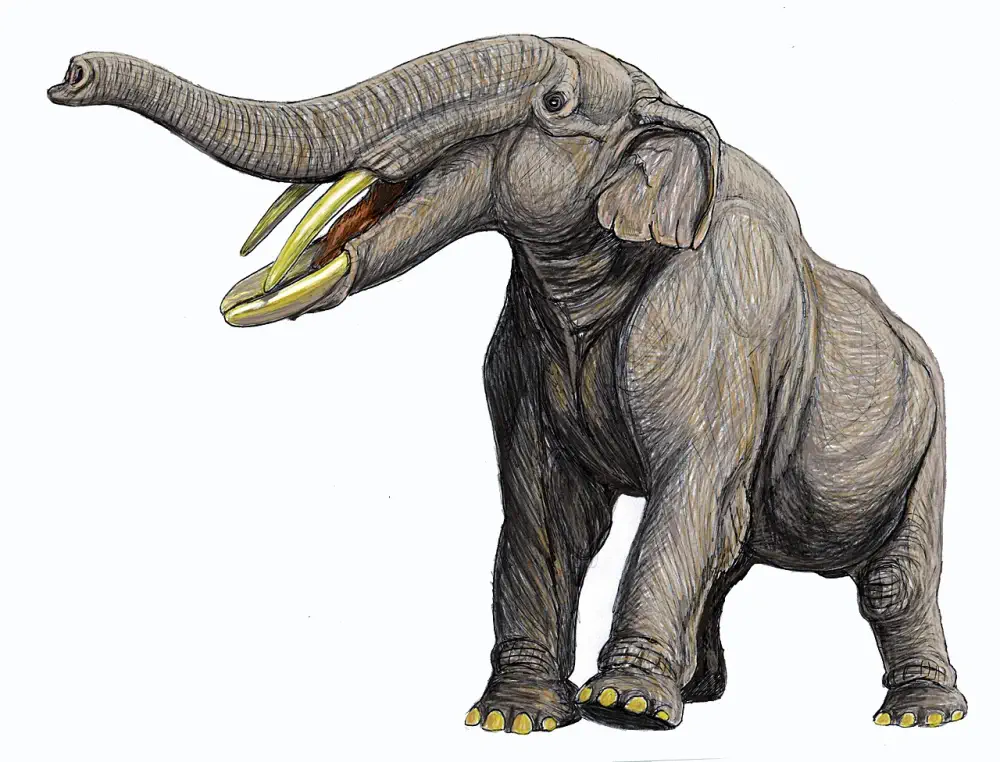 Вимерлий світ | Konobelodon
