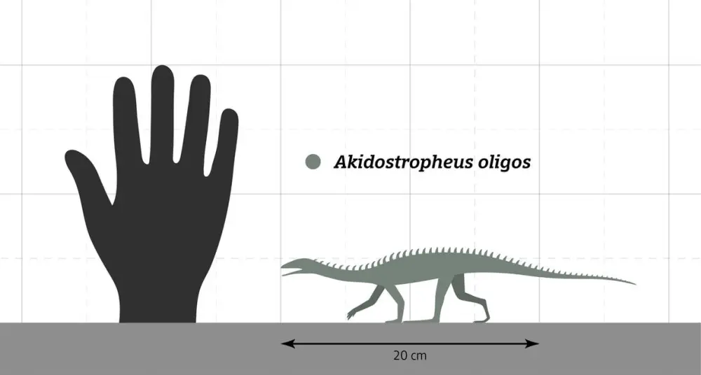 Вимерлий світ | Akidostropheus Вимерлий світ | Akidostropheus
