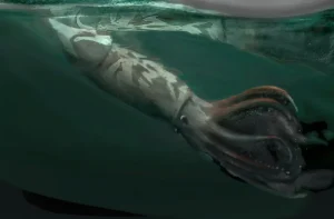 Yezoteuthis|Вимерлий світ