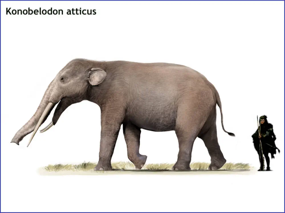 Вимерлий світ | Konobelodon