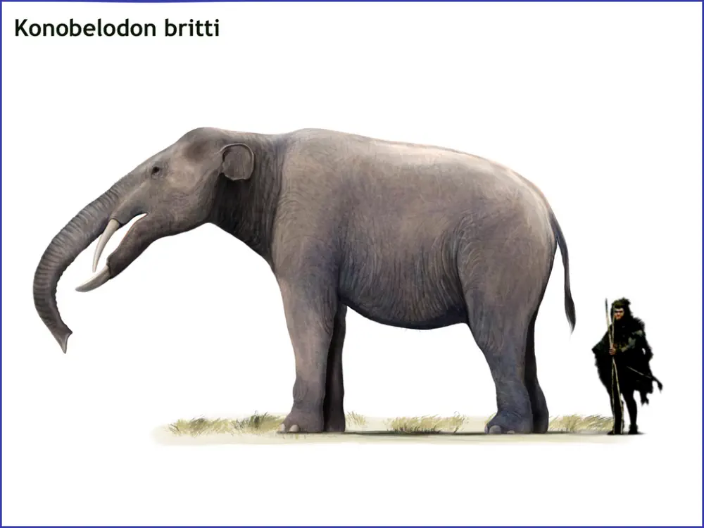 Вимерлий світ | Konobelodon