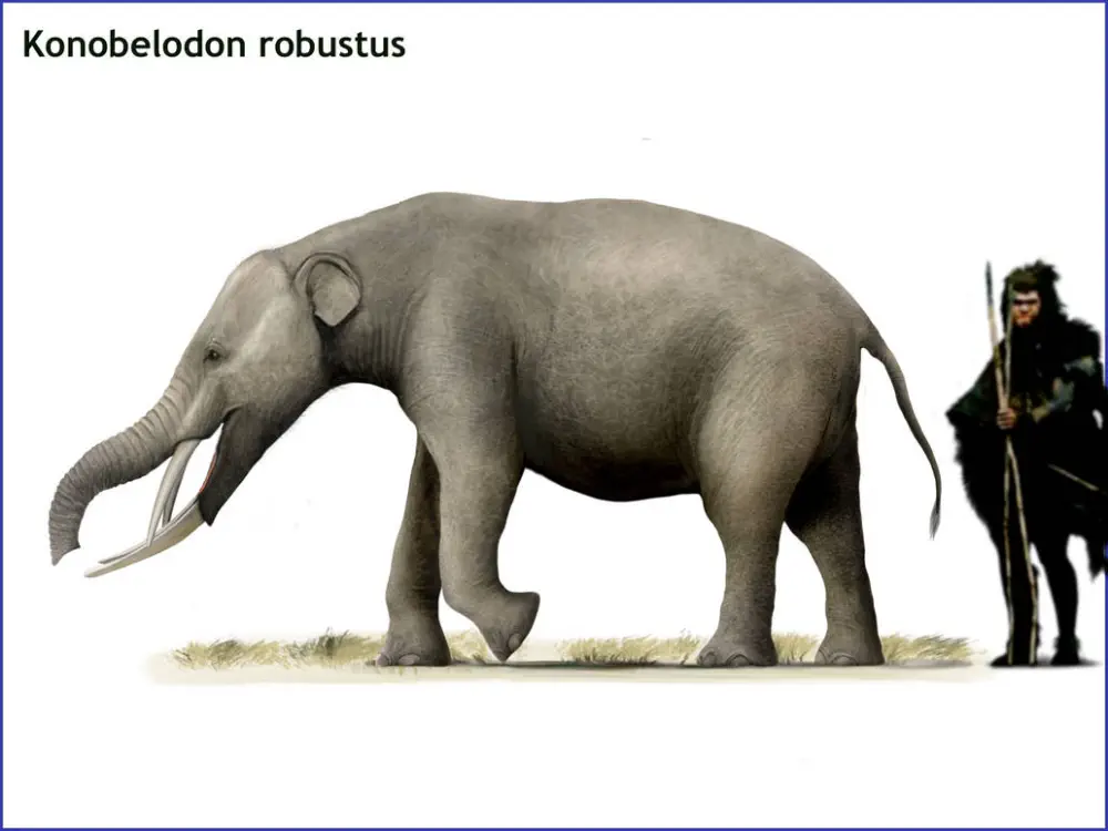Вимерлий світ | Konobelodon