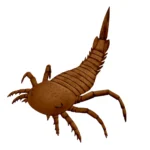 Parastylonurus_ornatus