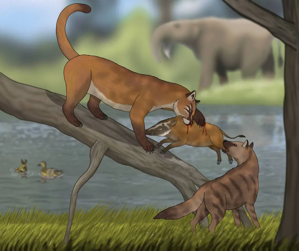 Вимерлий світ | Propotamochoerus Вимерлий світ | Propotamochoerus