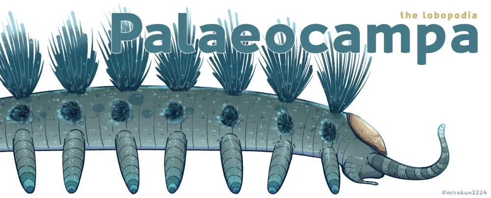 Вимерлий світ | Palaeocampa Вимерлий світ | Palaeocampa