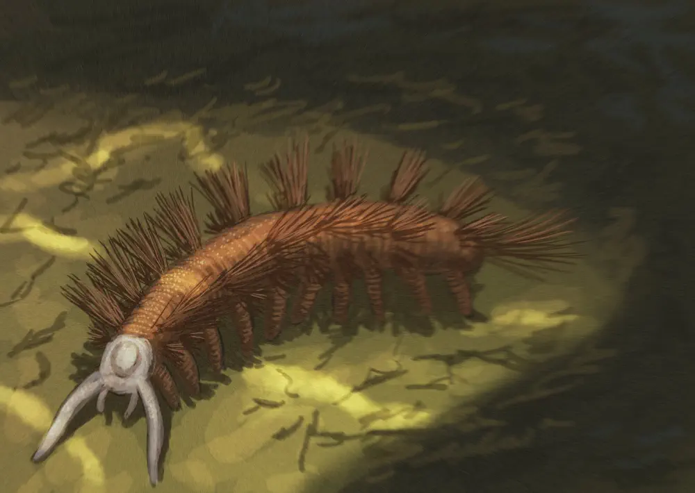 Вимерлий світ | Palaeocampa Вимерлий світ | Palaeocampa