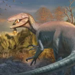 Joaquinraptor_casali-novataxa_2025-Ibiricu_Lamanna___paleoArt_Andrew_McAfee