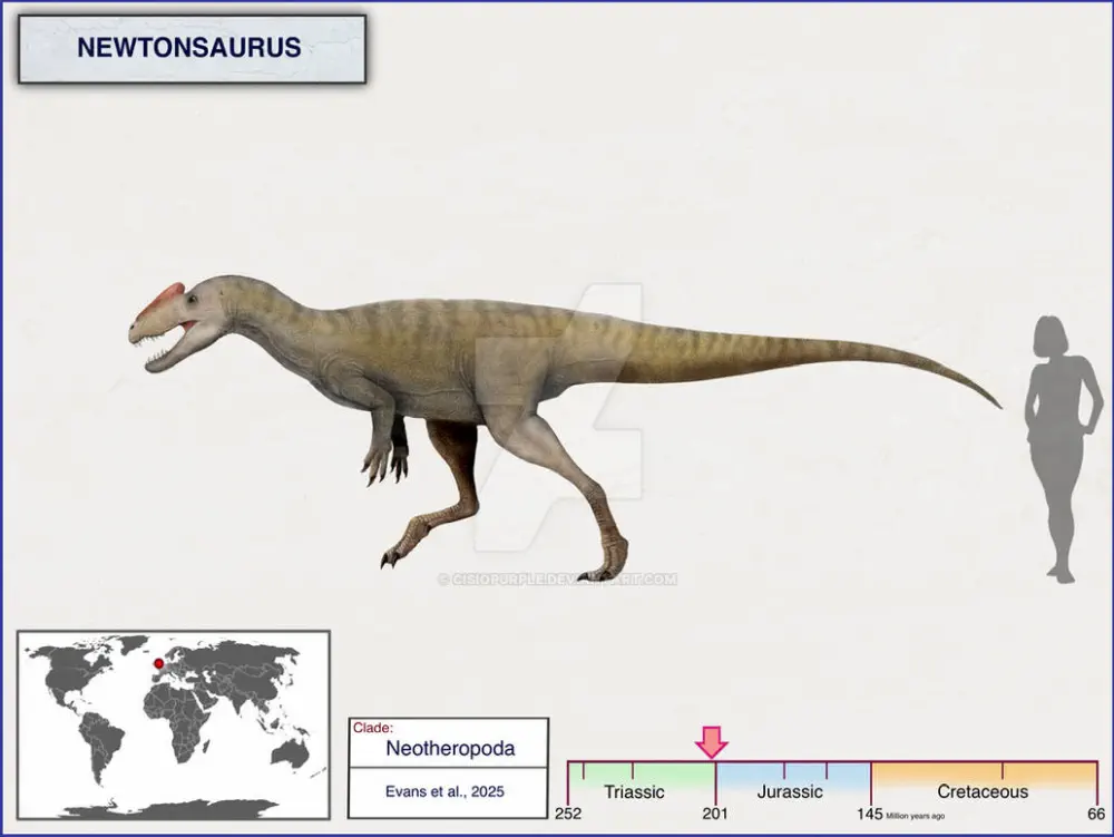 Вимерлий світ | Newtonsaurus Вимерлий світ | Newtonsaurus