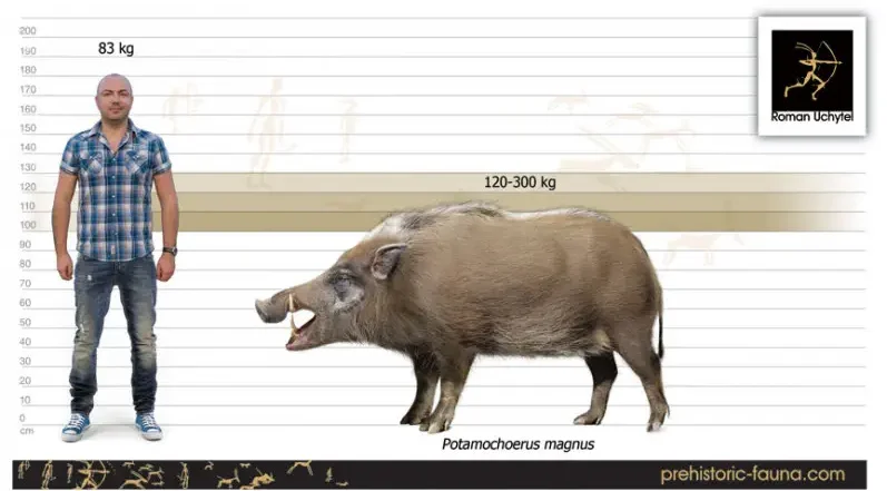 Вимерлий світ | Propotamochoerus Вимерлий світ | Propotamochoerus