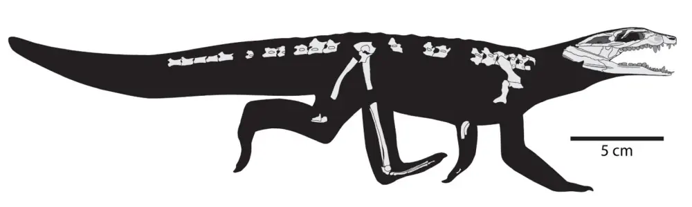 Вимерлий світ | Thikarisuchus