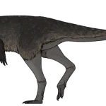 Anteavis_crurilongus