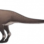 Brontotholus_harmoni