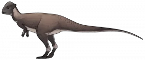 Brontotholus|Вимерлий світ