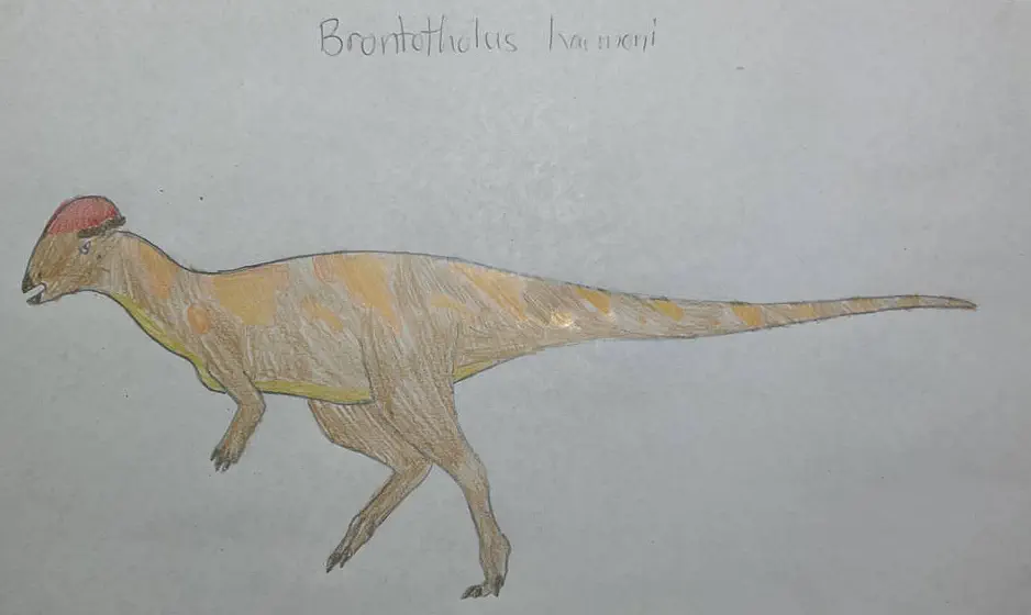 Вимерлий світ | Brontotholus Вимерлий світ | Brontotholus