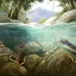 Natator_giganteus-novataxa_2025-Kong_Shih__@JournalSysEvo