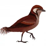 tumblr_inline_oy54eaisNy1rx4yme_1280