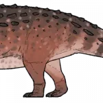 Zhongyuansaurus_junchangi