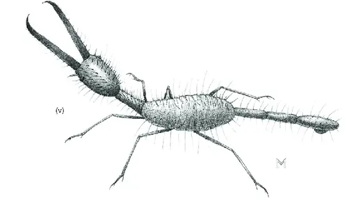 Вимерлий світ | Ankyloleon