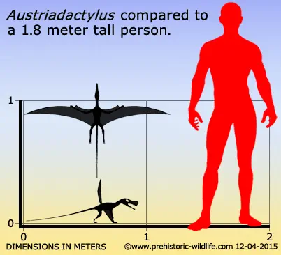 Вимерлий світ | Austriadactylus