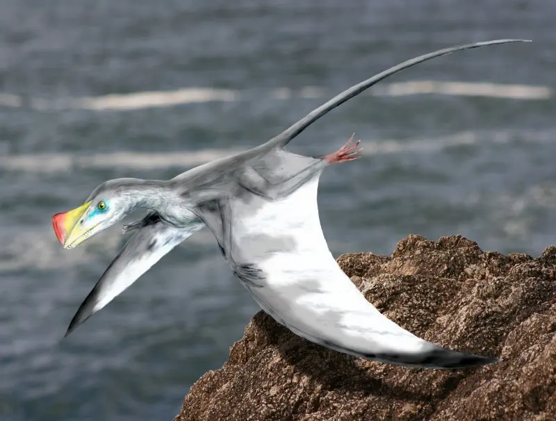 Вимерлий світ | Austriadactylus