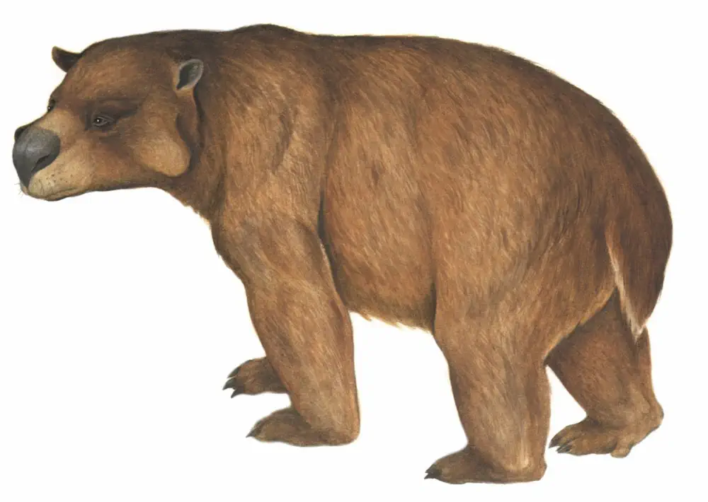 Вимерлий світ | Euryzygoma