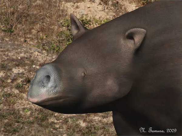 Вимерлий світ | Euryzygoma