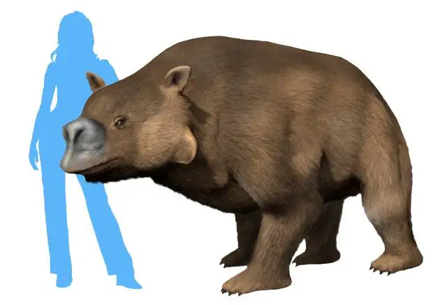 Вимерлий світ | Euryzygoma