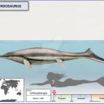 isfjordosaurus__by_cisiopurple_dkw20xx-pre