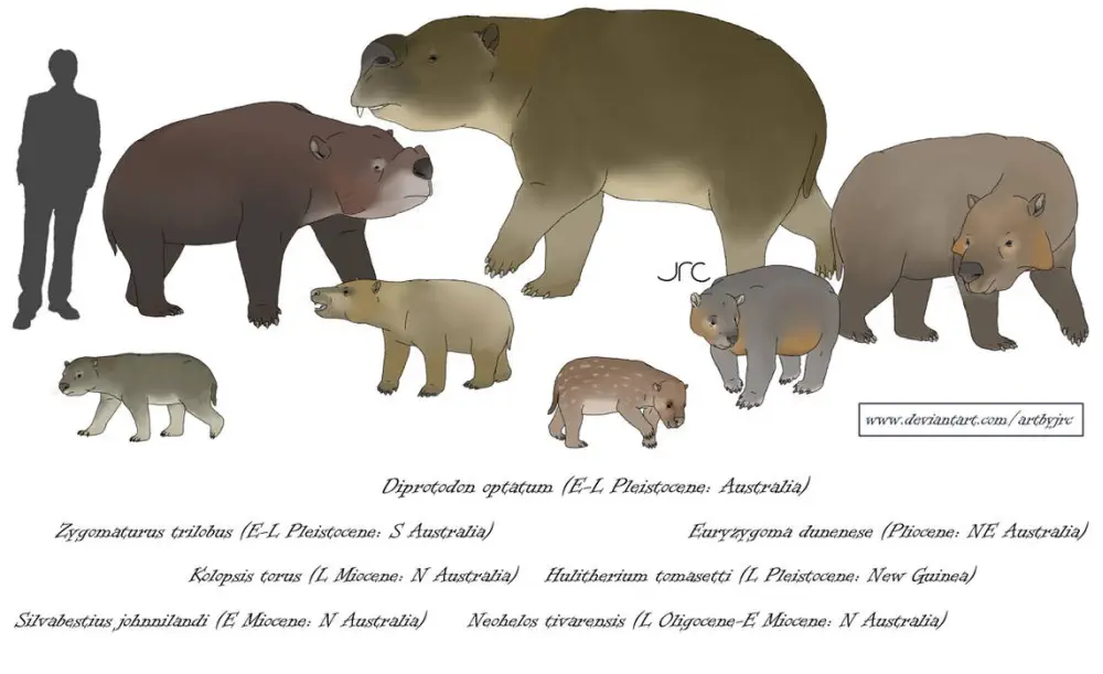 Вимерлий світ | Euryzygoma