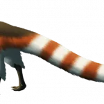 mirischia-1024x387