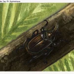 paleoctober_2025_day_23__oryctoantiquus_by_emilystepp_dksdmep-pre