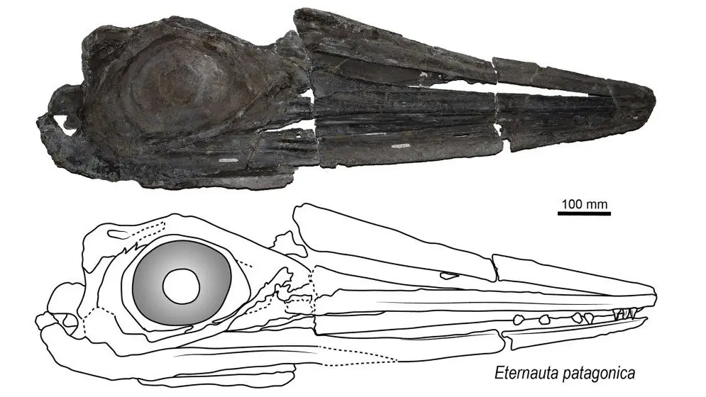 Вимерлий світ | Eternauta Вимерлий світ | Eternauta