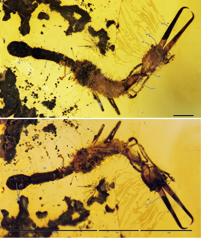 Вимерлий світ | Ankyloleon