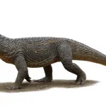 Tainrakuasuchus_bellator-novataxa_2025-Muller_Garcia_