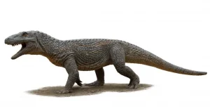 Tainrakuasuchus|Вимерлий світ