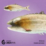 tumblr_otr4mpVv5t1vcxqoho1_1280