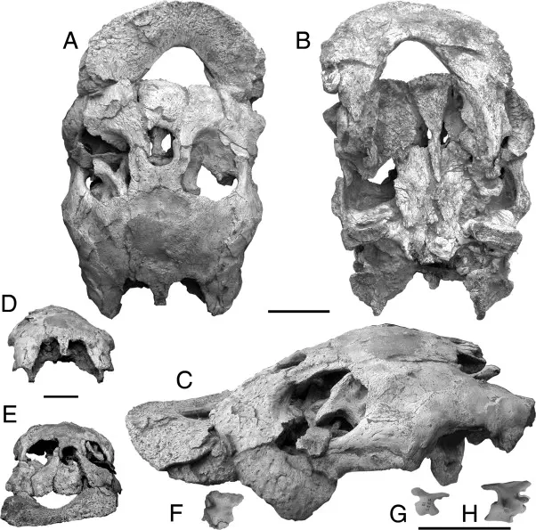 Вимерлий світ | Alienochelys