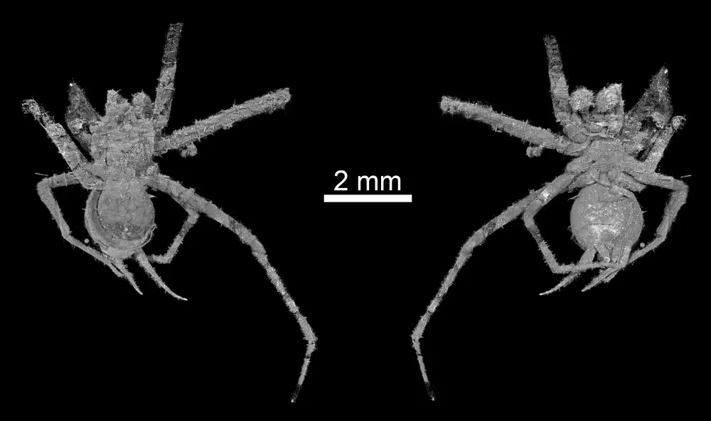 Вимерлий світ | Hungarosilia Вимерлий світ | Hungarosilia