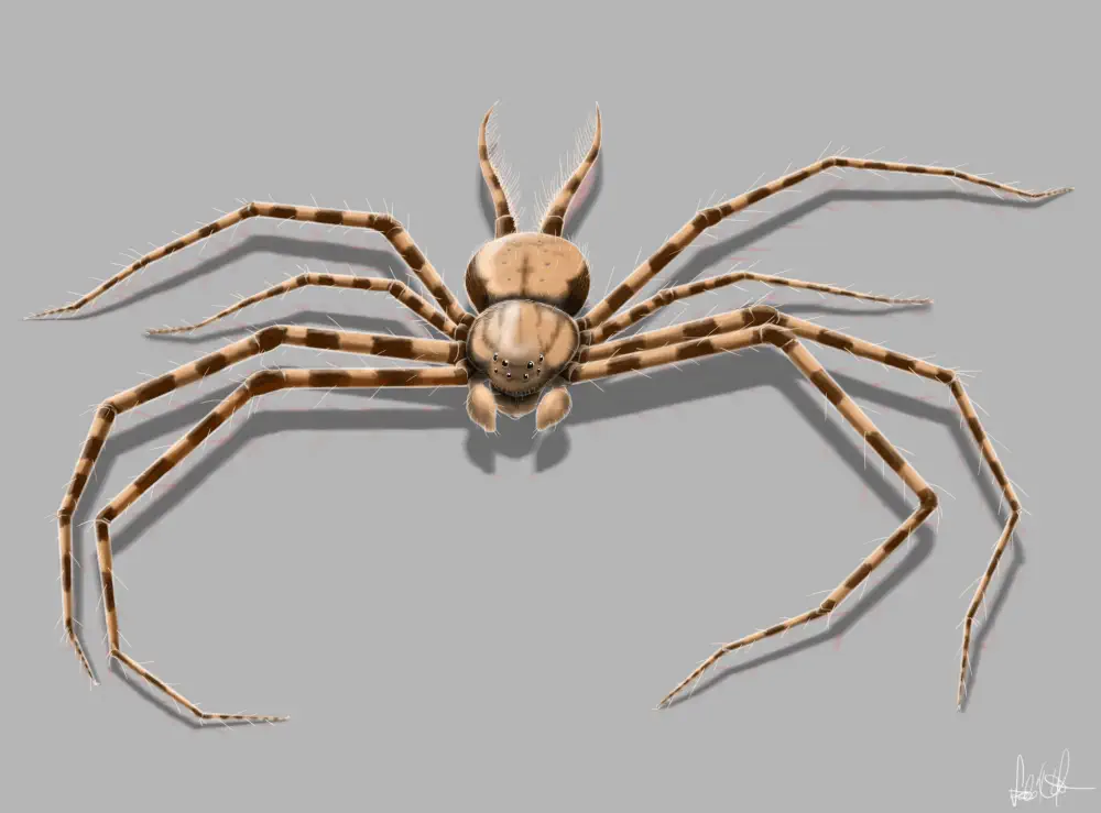 Вимерлий світ | Hungarosilia Вимерлий світ | Hungarosilia