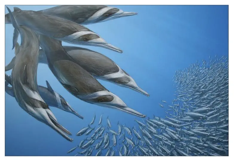 Вимерлий світ | Flandriacetus