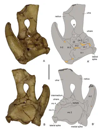 Вимерлий світ | Manipulonyx