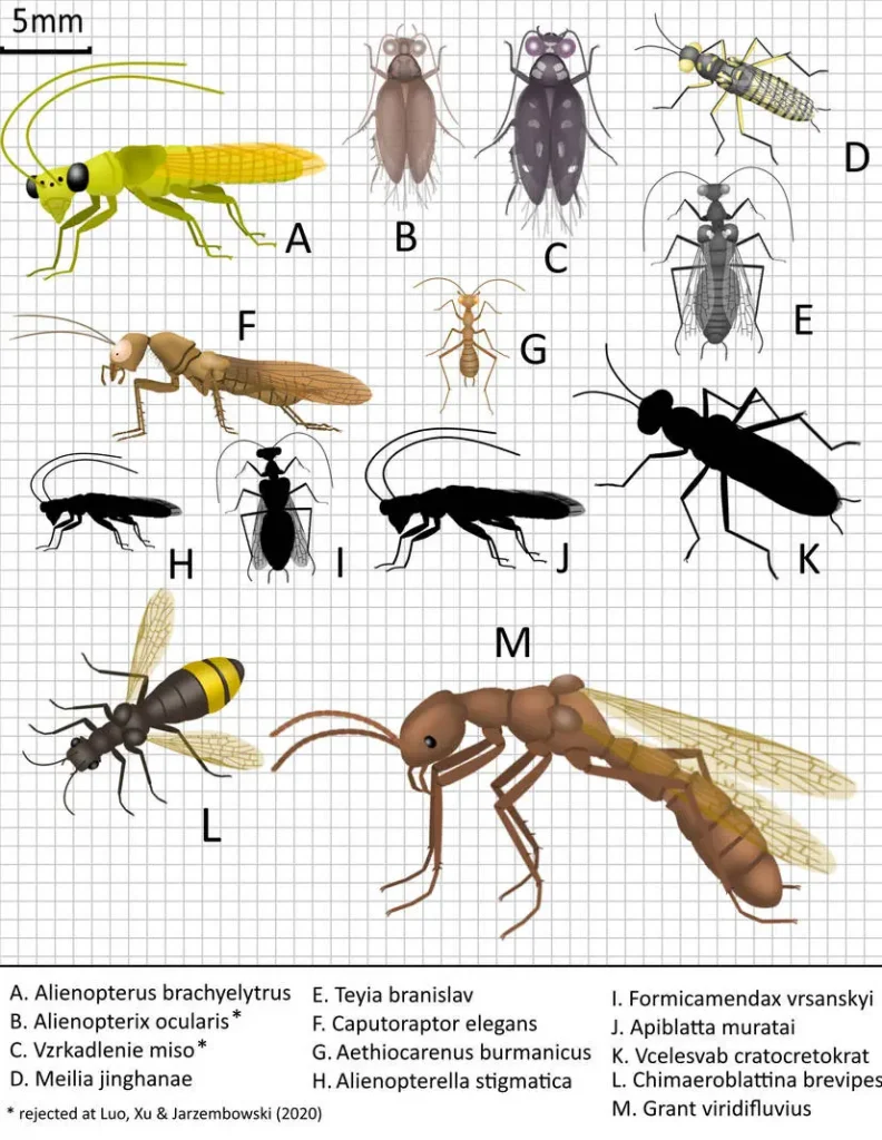 Вимерлий світ | Grant Вимерлий світ | Grant